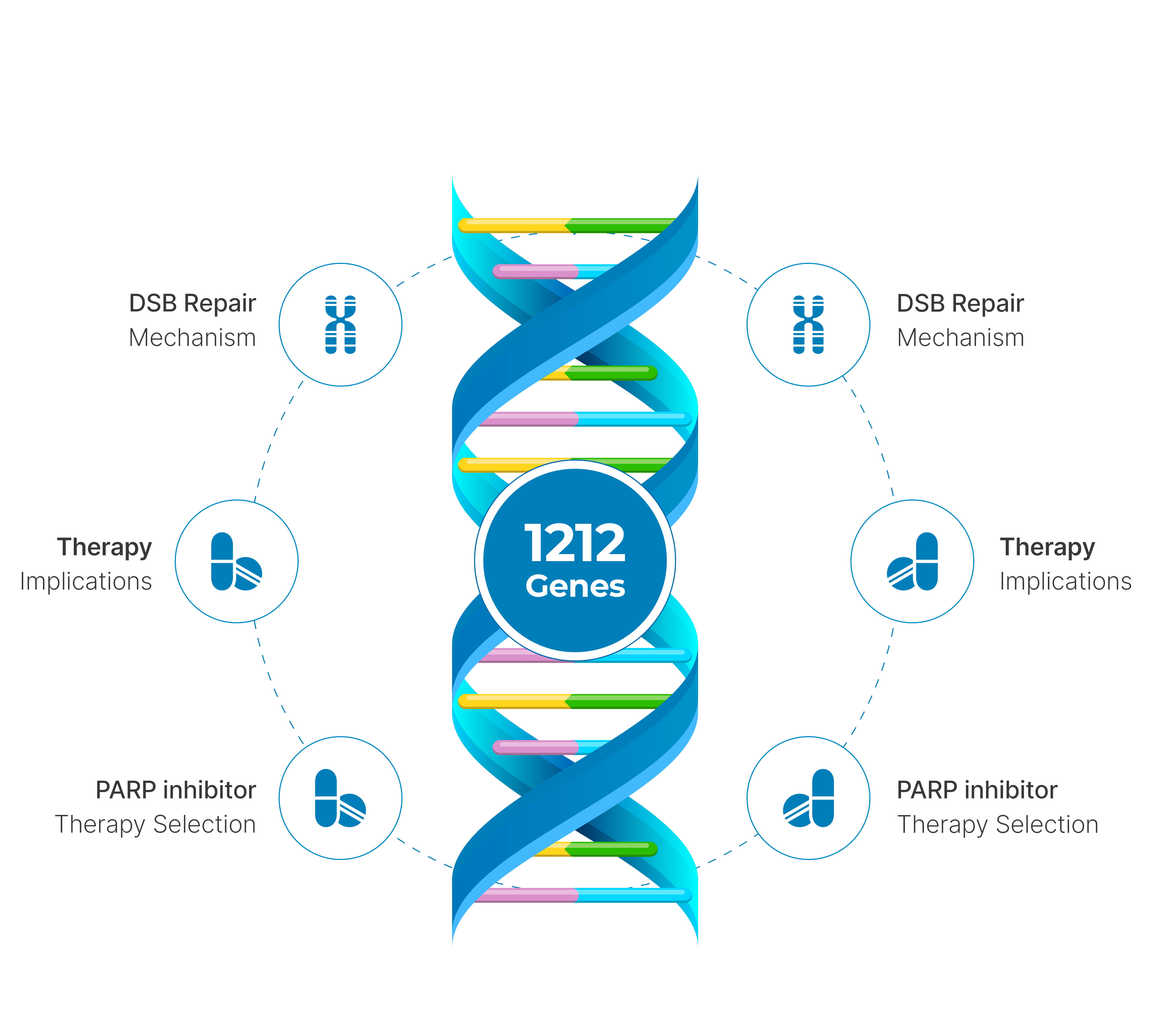 tarGT_IndiegenePro-Infograph