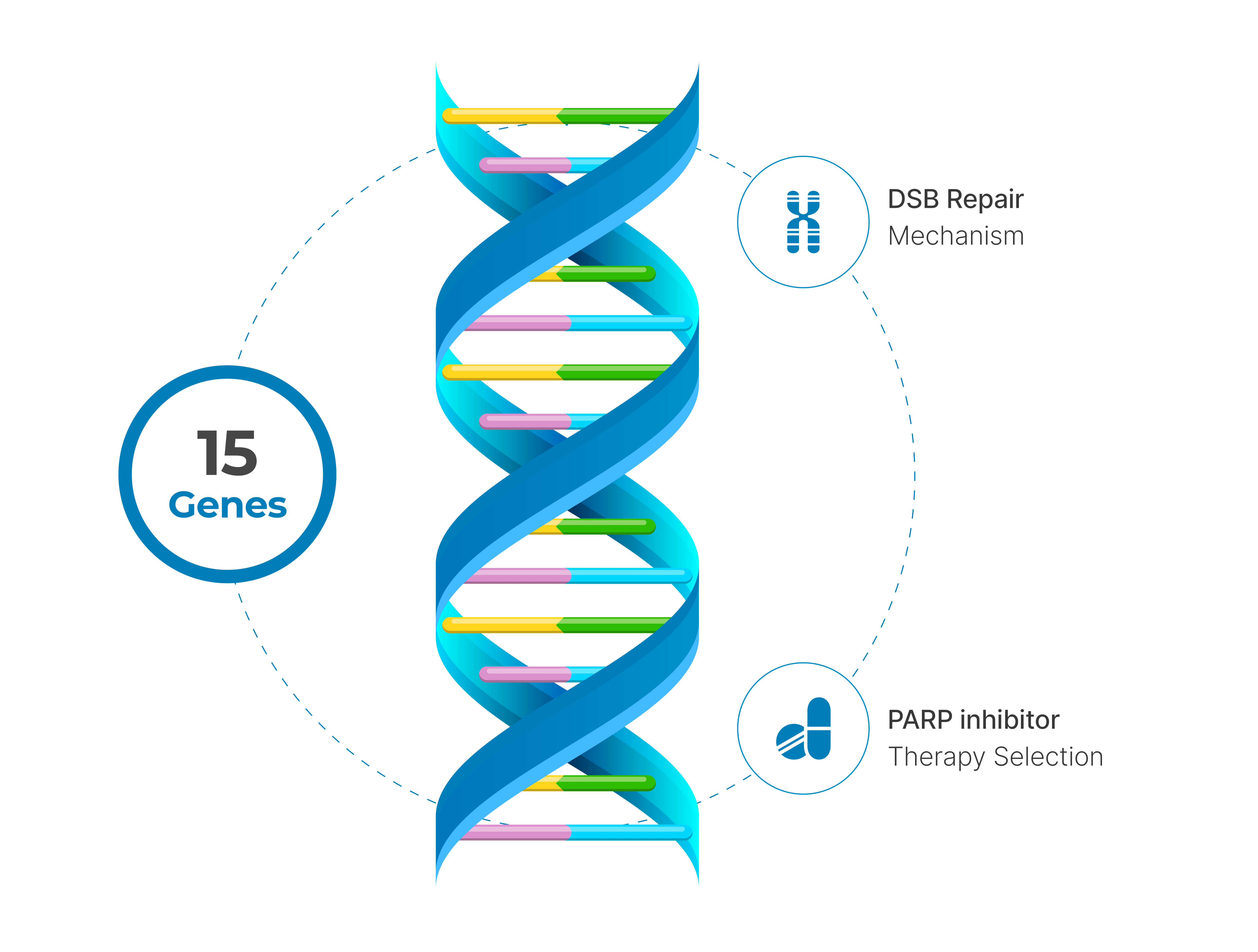 tarGT_Lung-Liquid-Advanced-Infograph